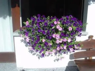 Hotel Garni Bucaneve Madonna di Campiglio